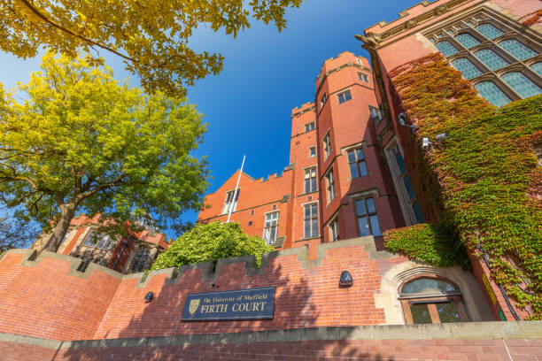 雪菲爾大學世界排名