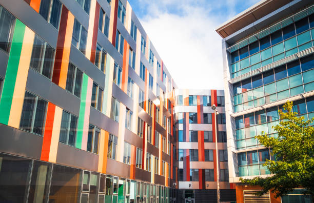 雪菲爾大學世界排名