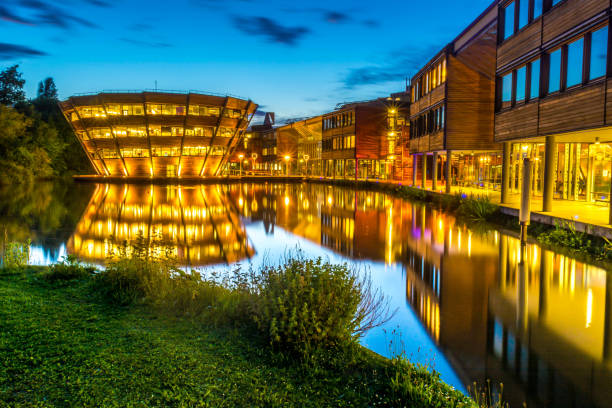 Nottingham University排名